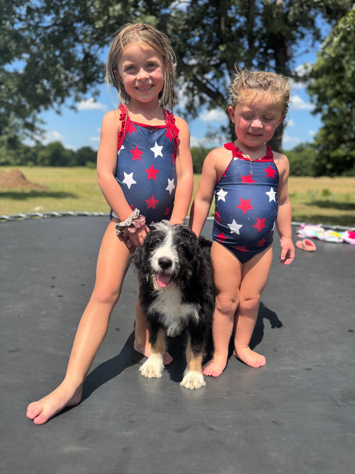 F1 Standard Bernedoodle (male) "Smoke Bomb"