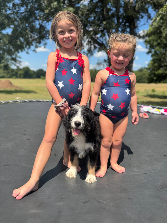 F1 Standard Bernedoodle (male) "Smoke Bomb"